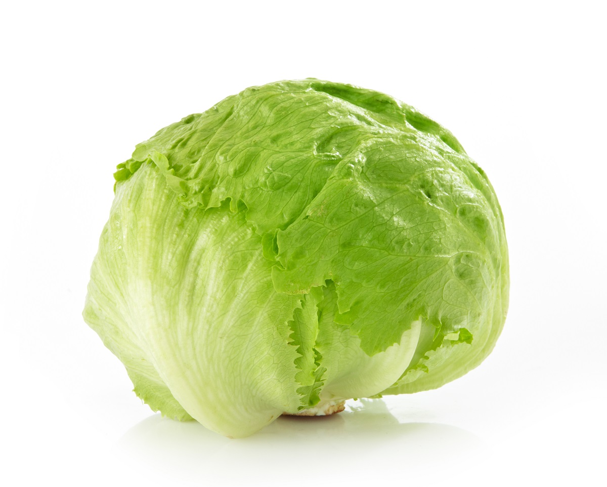 BIO Jégsaláta