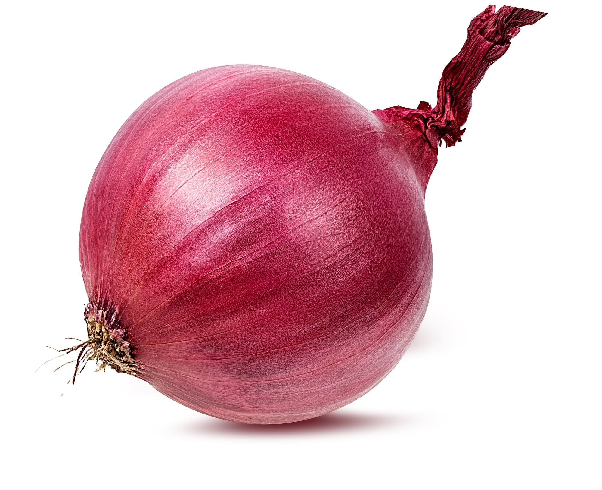 Gourmet Culinair lilahagyma (60mm+ átmérőjű), csomagolt