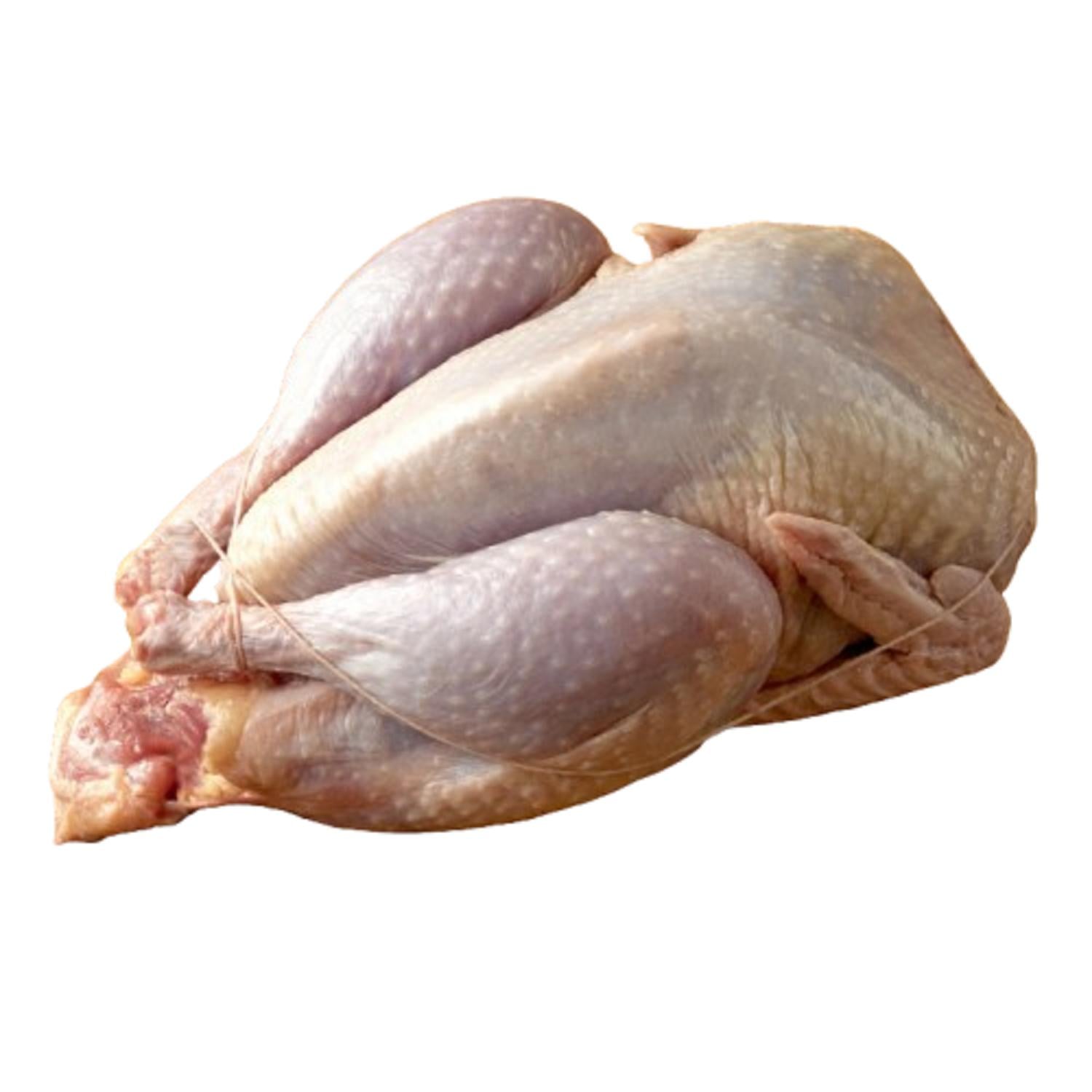 Nativus Tisztított, lőtt fácán