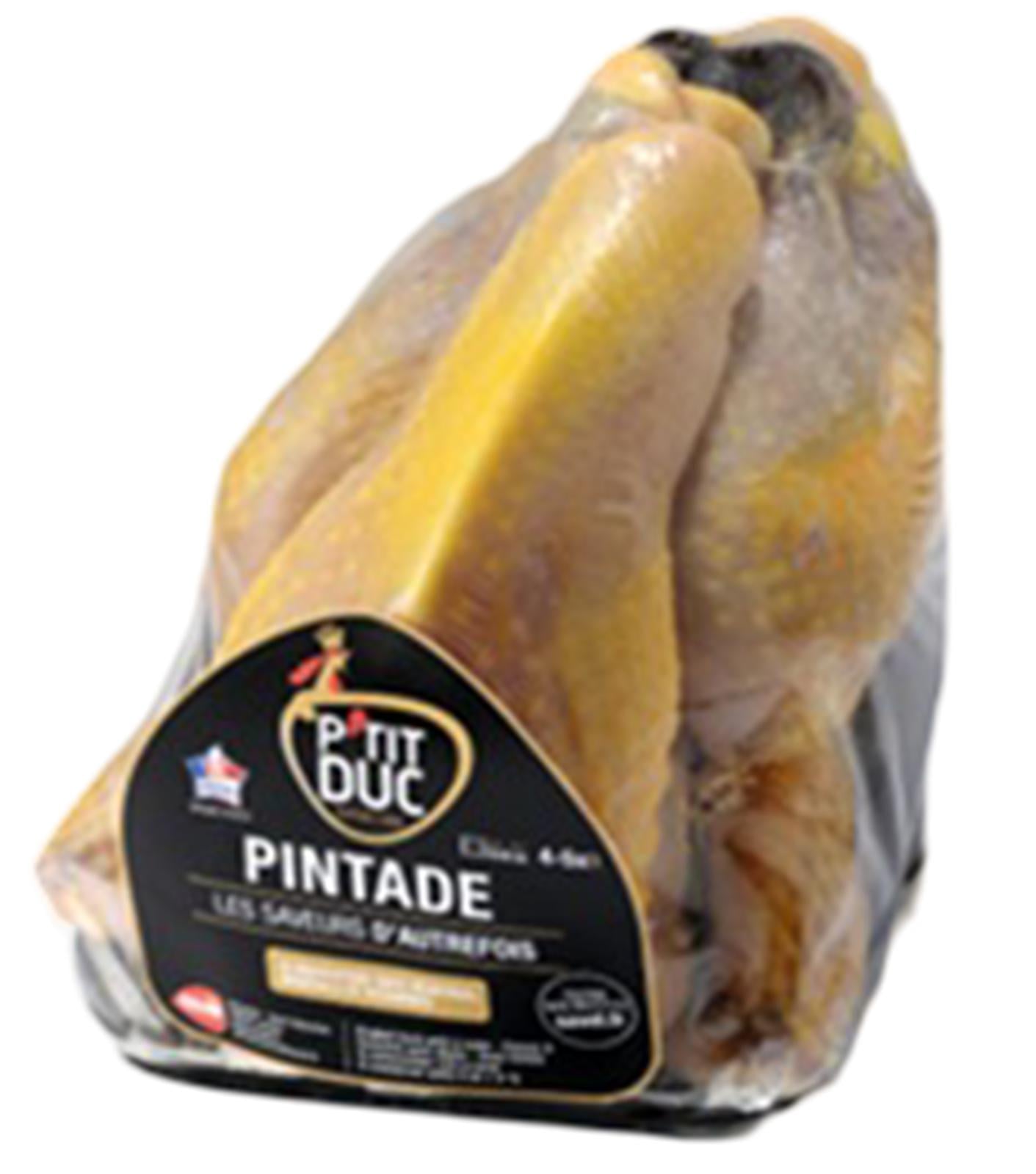 Petit Duc gyöngytyúk
