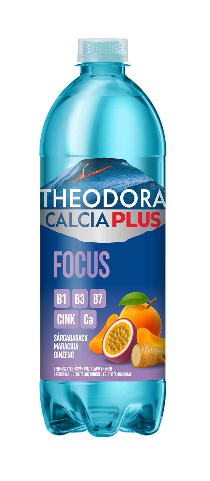Theodora Calcia Plus Focus