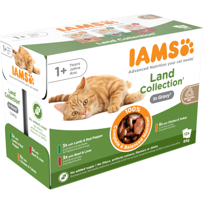 IAMS Delights nedves eledel felnőtt macskáknak ízletes csirkével és pulykával szószban. 12x85G