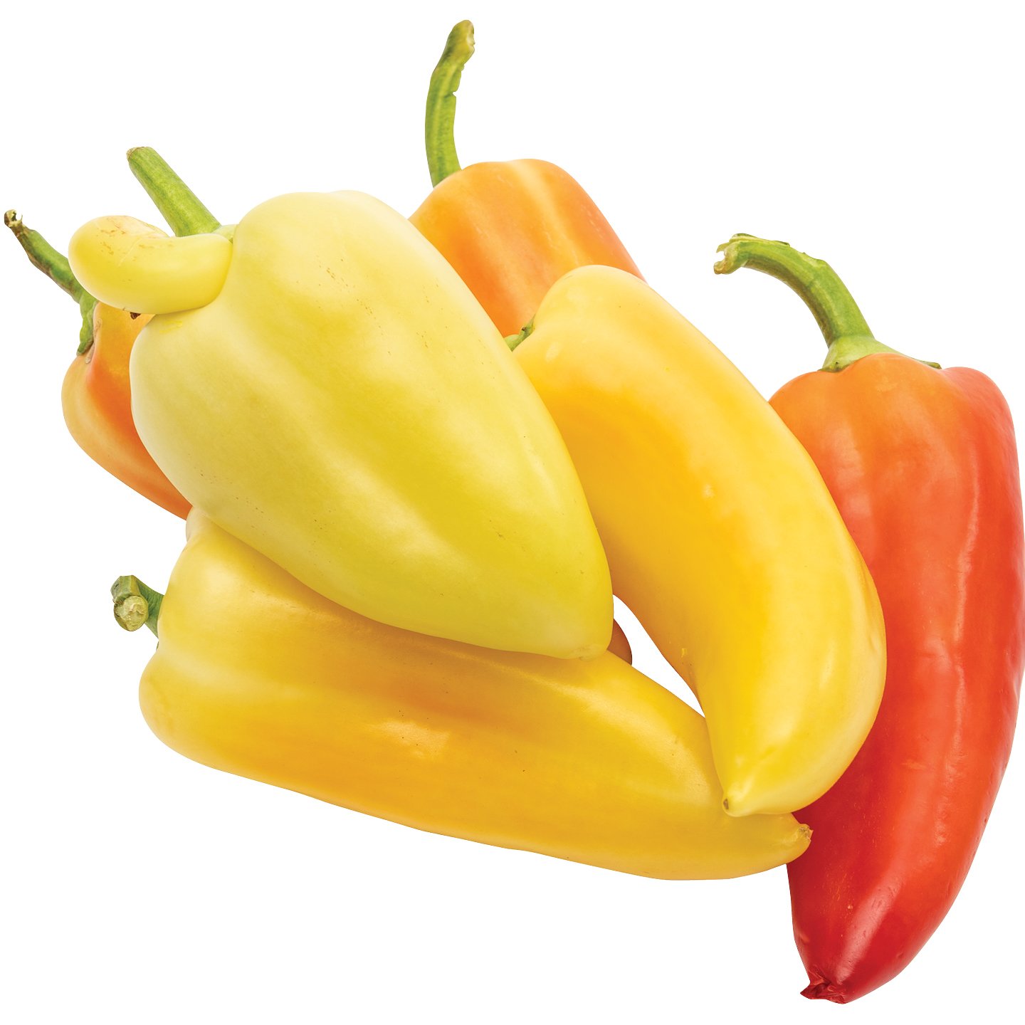 Lecsópaprika Xxl