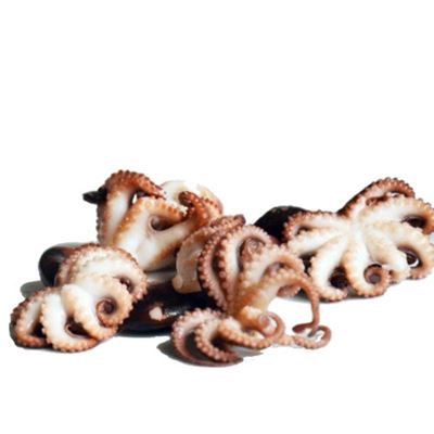 Egész Bébipolip 20% GL Egyesével fagyasztott 10/20 db/ 1 kg