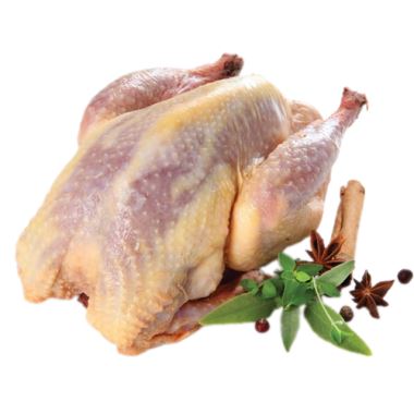 Gyorsfagyasztott Tisztított Fácán kb.600-800 g