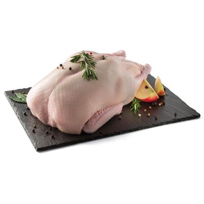 Friss Grill Pecsenyekacsa Zsugortasakos