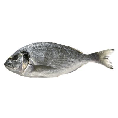 METRO Prémium Aranydurbincs 330-500 g