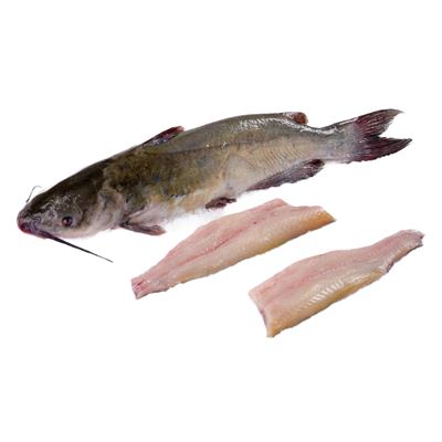 Előhűtött,Tisztított Harcsa