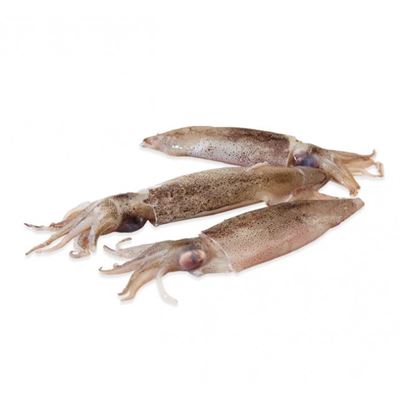 Patagóniai Tintahal Gyorsfagyasztott 20%Glazing 1 kg