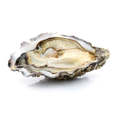 BOUTRAIS Osztriga OSTREA REGAL OR NO3 12 db
