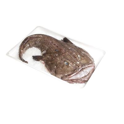 Friss ördöhal fejjel