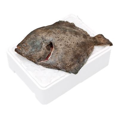 Friss Tisztított Rombuszhal 1-2 kg