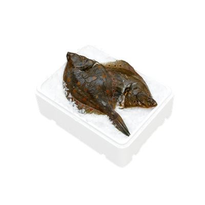 Friss Sima Lepényhal 600-900 g