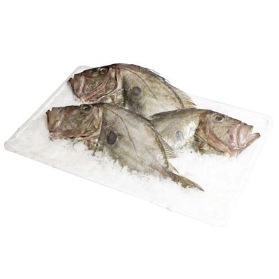 Friss Szent Péter Hal 1-2 kg