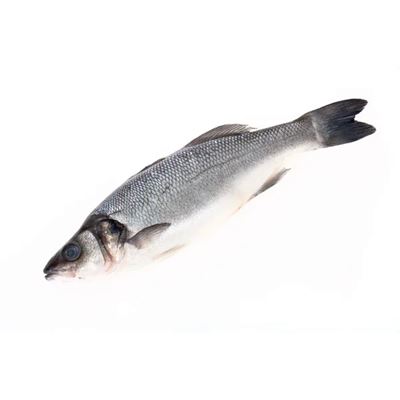 Friss Vékonybajszú Tőkehal Zsigerelve 600-1000 g