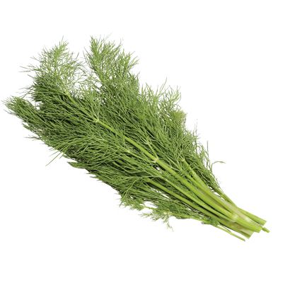 METRO Chef Kaporzöld 1 Köteg