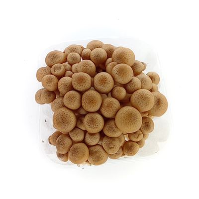 Fungi Exotica Barna Shimejii Gomba 150 g