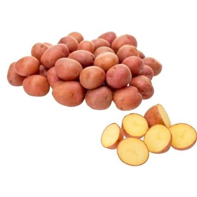 Parázsburgonya Hálóban 2,5 kg