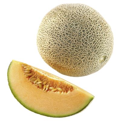 Cantaloupe dinnye kg-os
