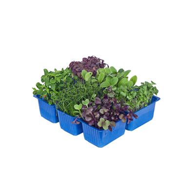 Cress Sakura mix 62 g