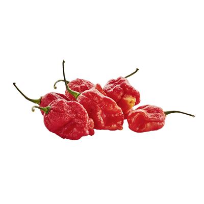 Carolina Reaper Paprika 50 g