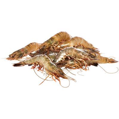 Seacon Gyorsfagyasztott Óriás Garnélarák 16/20 20% GL 1 kg