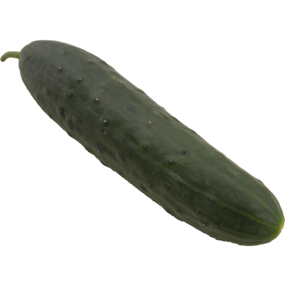 Uborka fürtös lédig