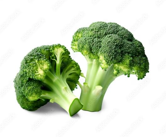 BIO Brokkoli
