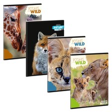 Wild Life Moments vonalas füzet A5