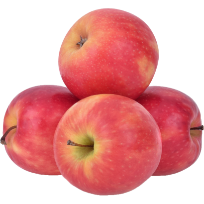 Alma Pink lady lédig