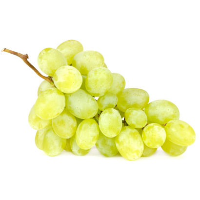 Fehér szőlő lédig