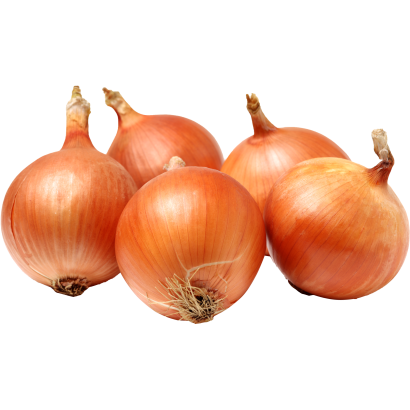 Vöröshagyma lédig