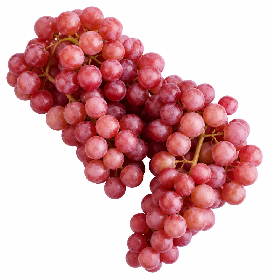 Rosé szőlő