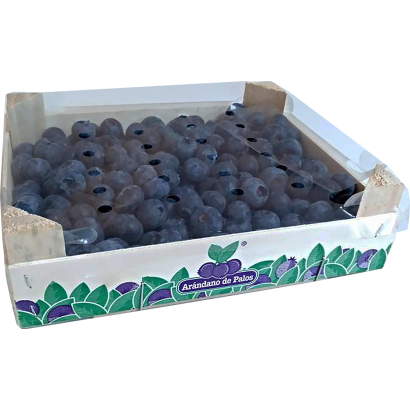 Áfonya 1 kg