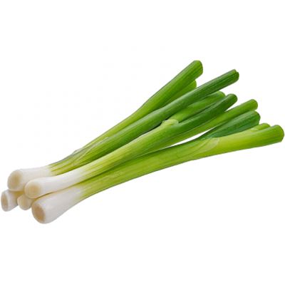 Zöldhagyma 1 kg