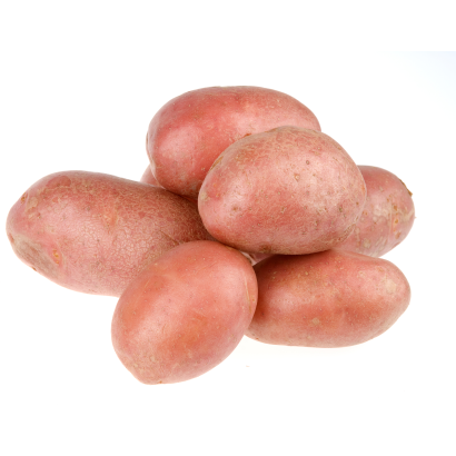 Piros burgonya lédig
