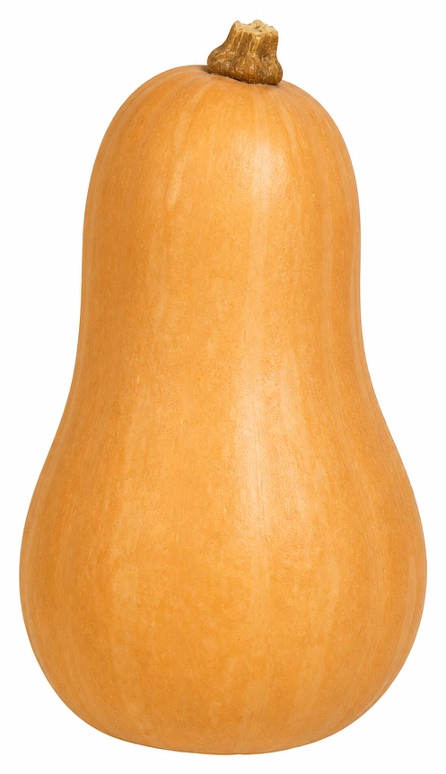 Sütőtök