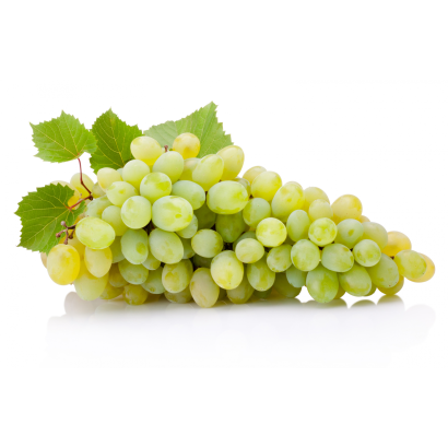 Gazdától az asztalig magnélküli fehér szőlő Ft/kg