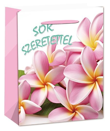 Ajándék Papírtasak Sok Szeretettel 18x23