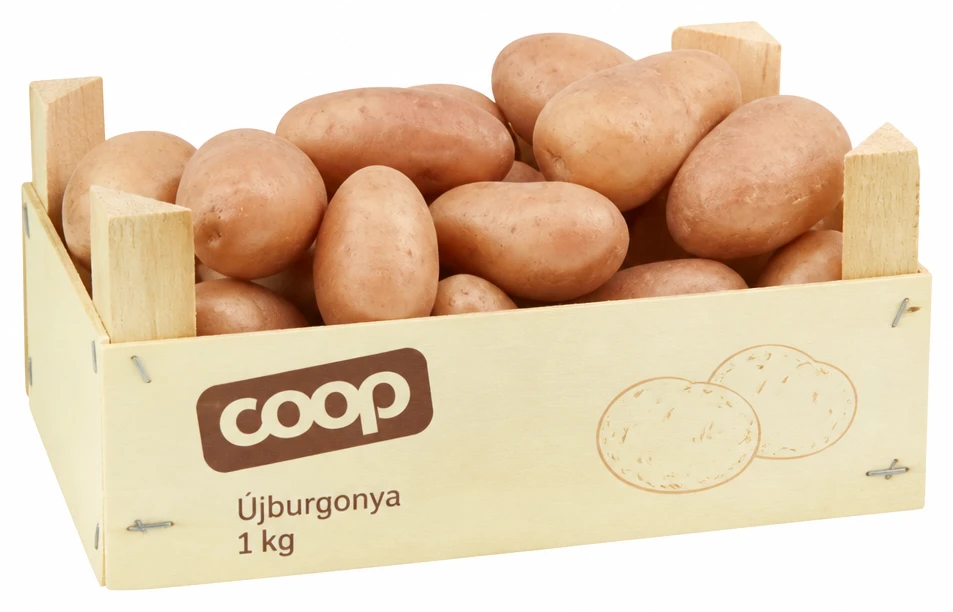 Újburgonya